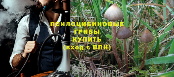 apvp Михайловск