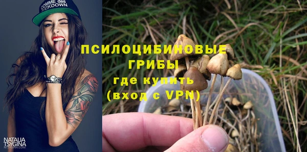 apvp Михайловск