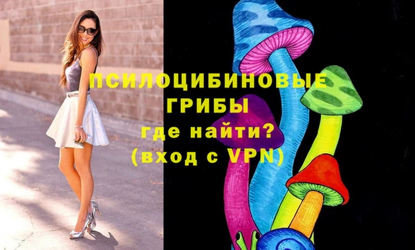 apvp Михайловск