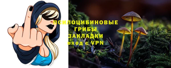 apvp Михайловск
