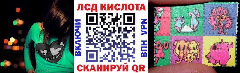где можно купить наркотик  Олонец  Наркотические марки 1500мкг 