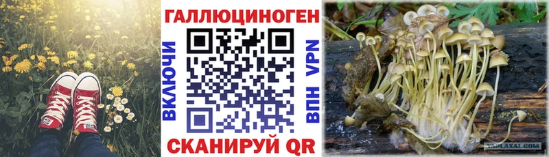 Псилоцибиновые грибы Psilocybine cubensis  дарк нет Telegram  Олонец  купить наркотик 